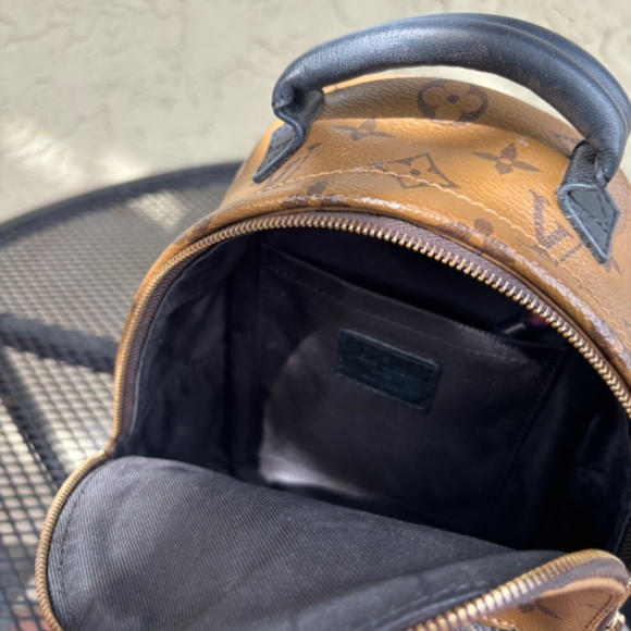 Palm Springs Mini - Picture 3 of 4